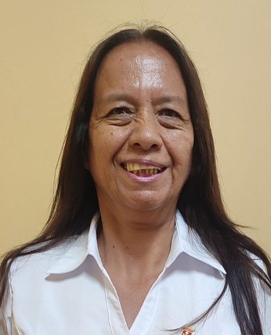 Image hover effect image