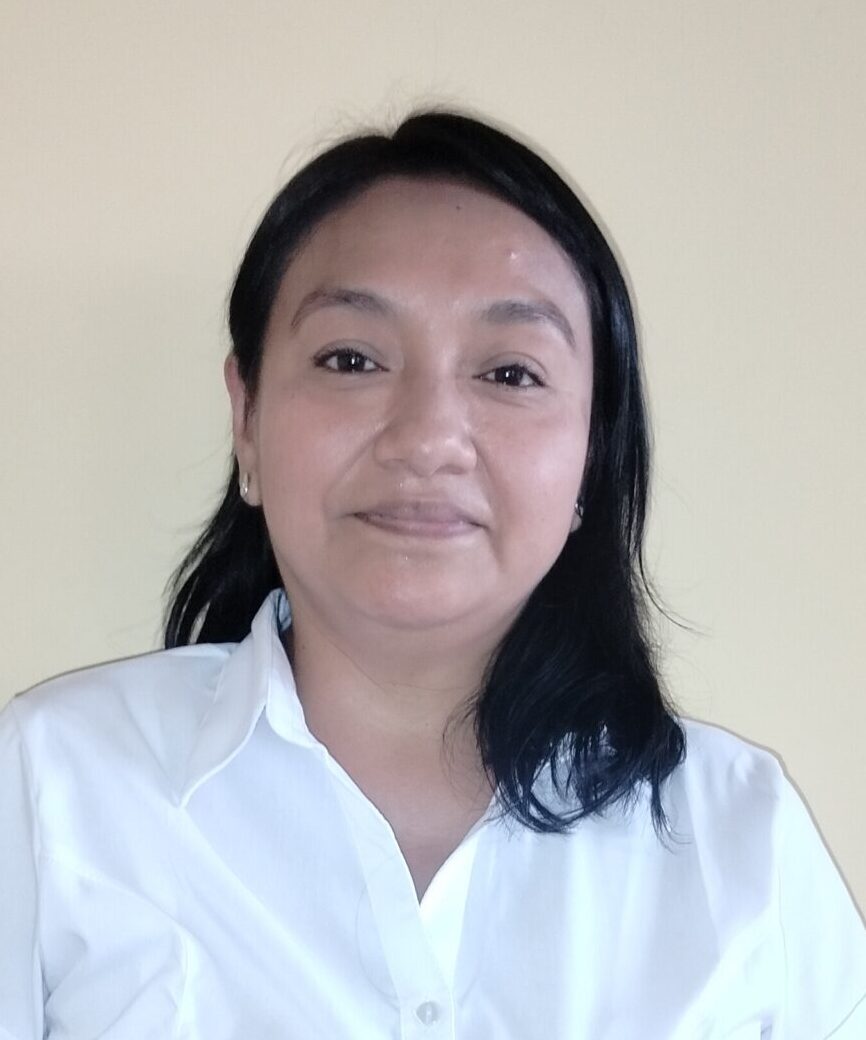 Image hover effect image