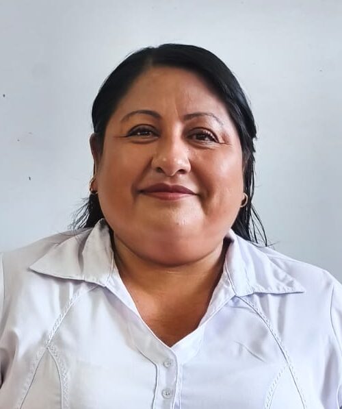 Image hover effect image