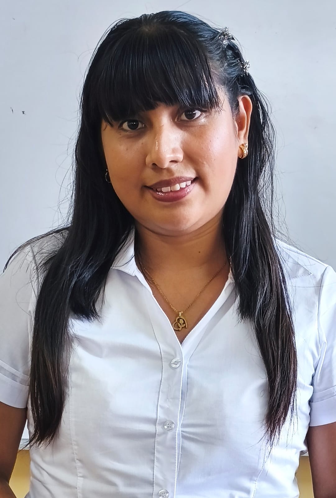 Image hover effect image