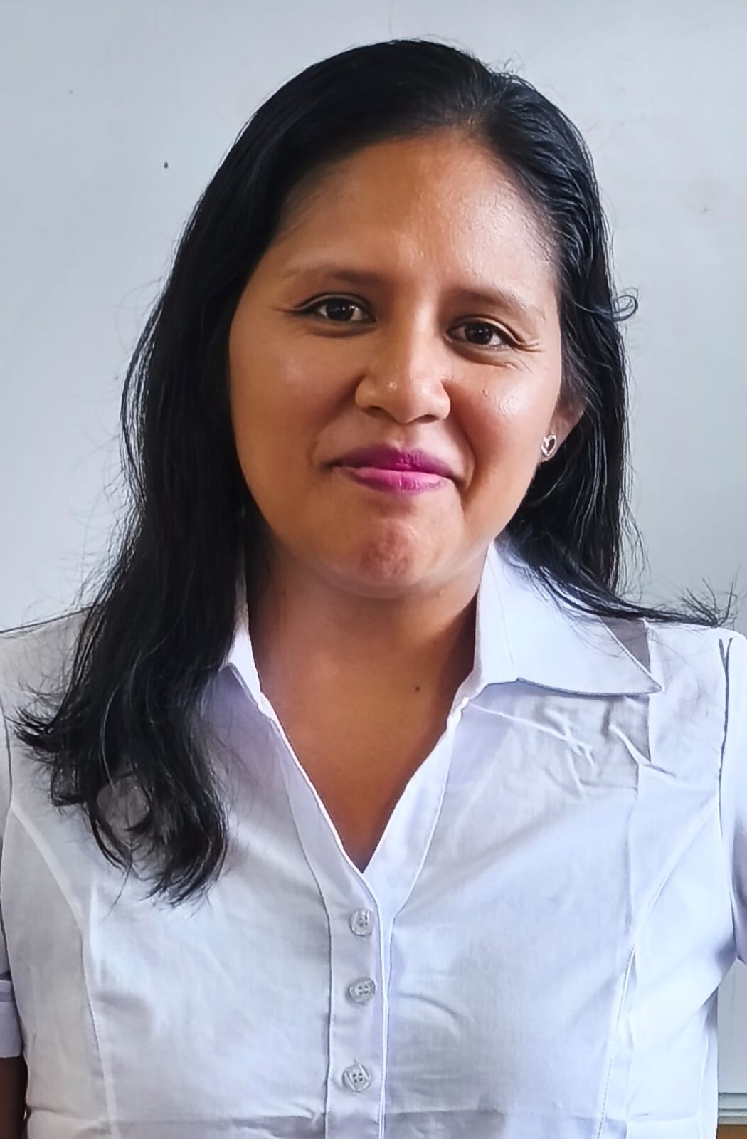 Image hover effect image