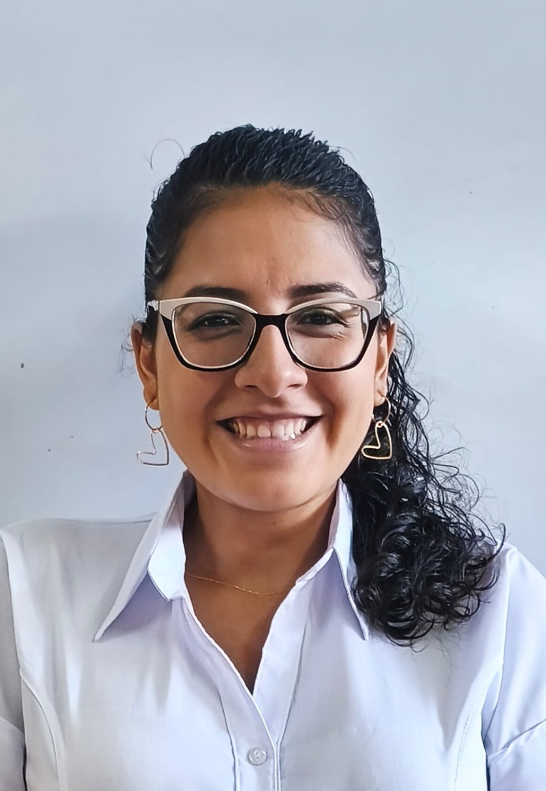 Image hover effect image