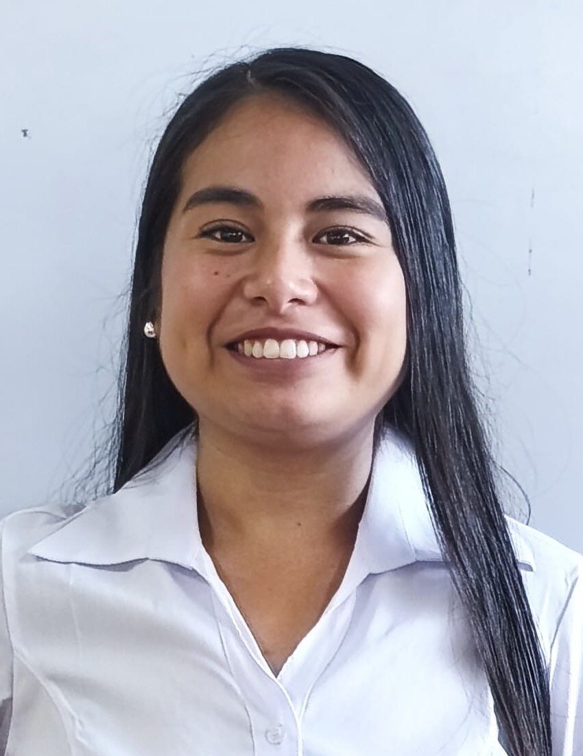 Image hover effect image