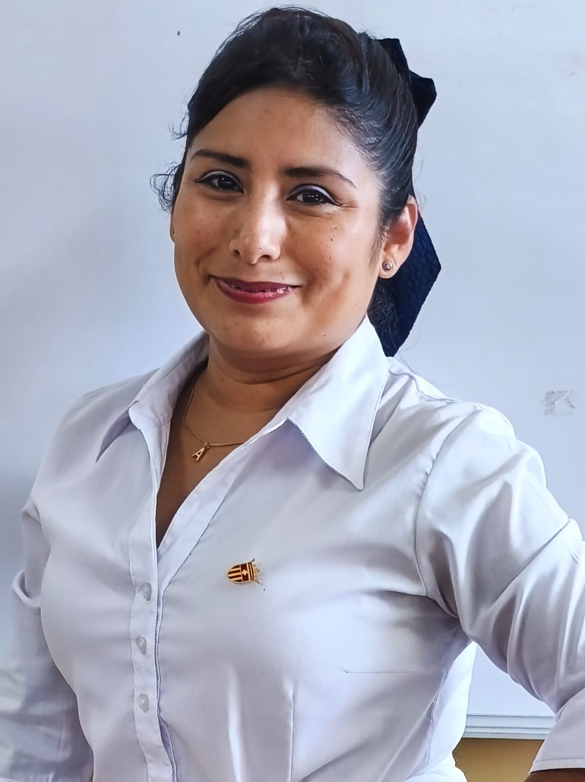 Image hover effect image