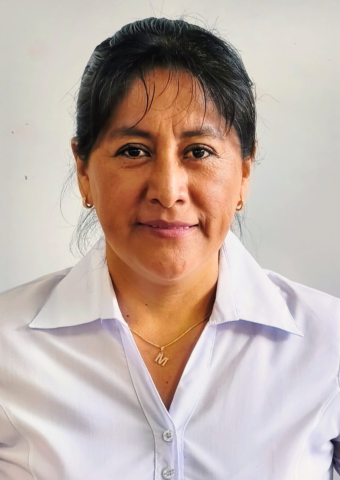 Image hover effect image