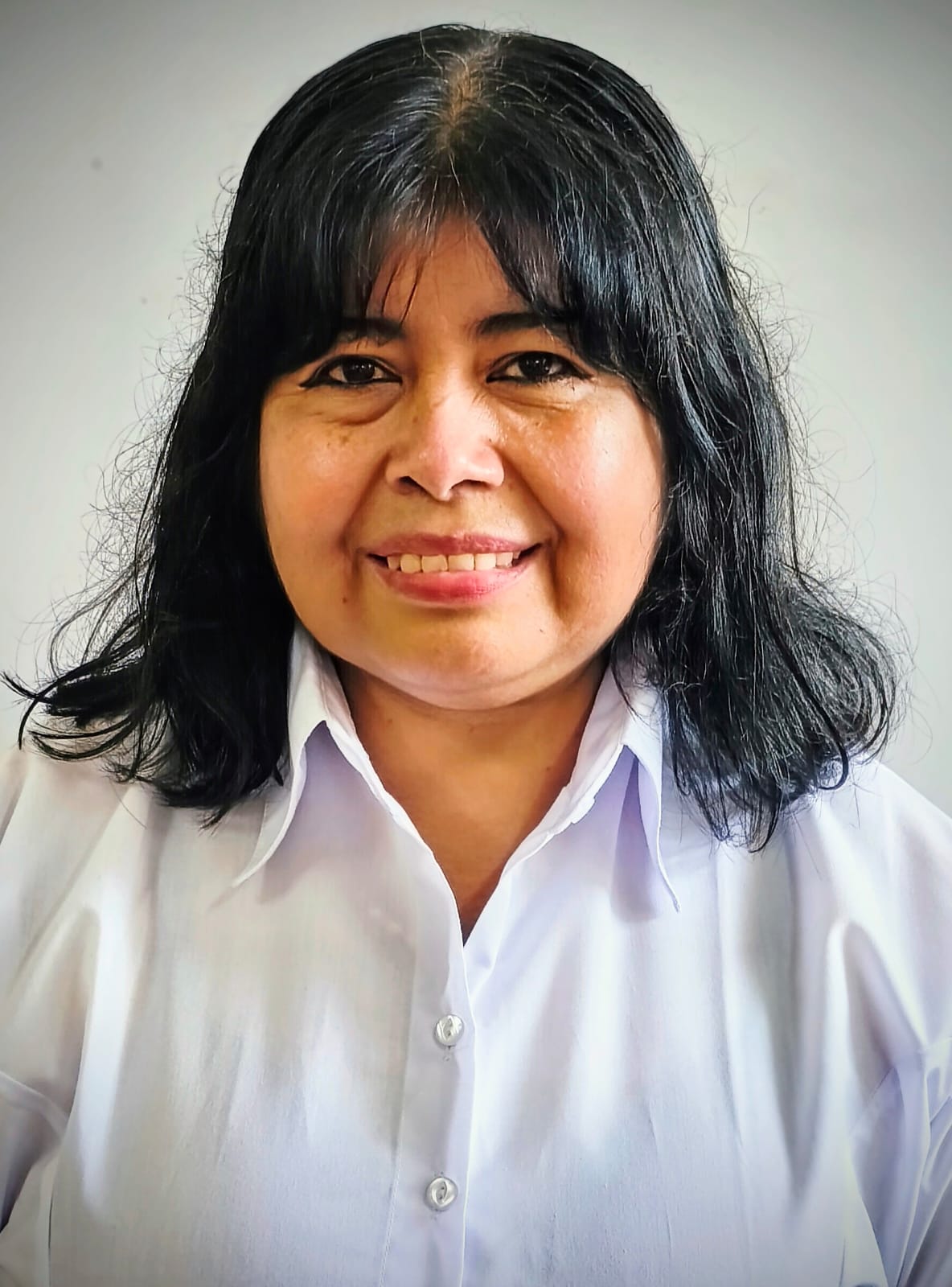 Image hover effect image