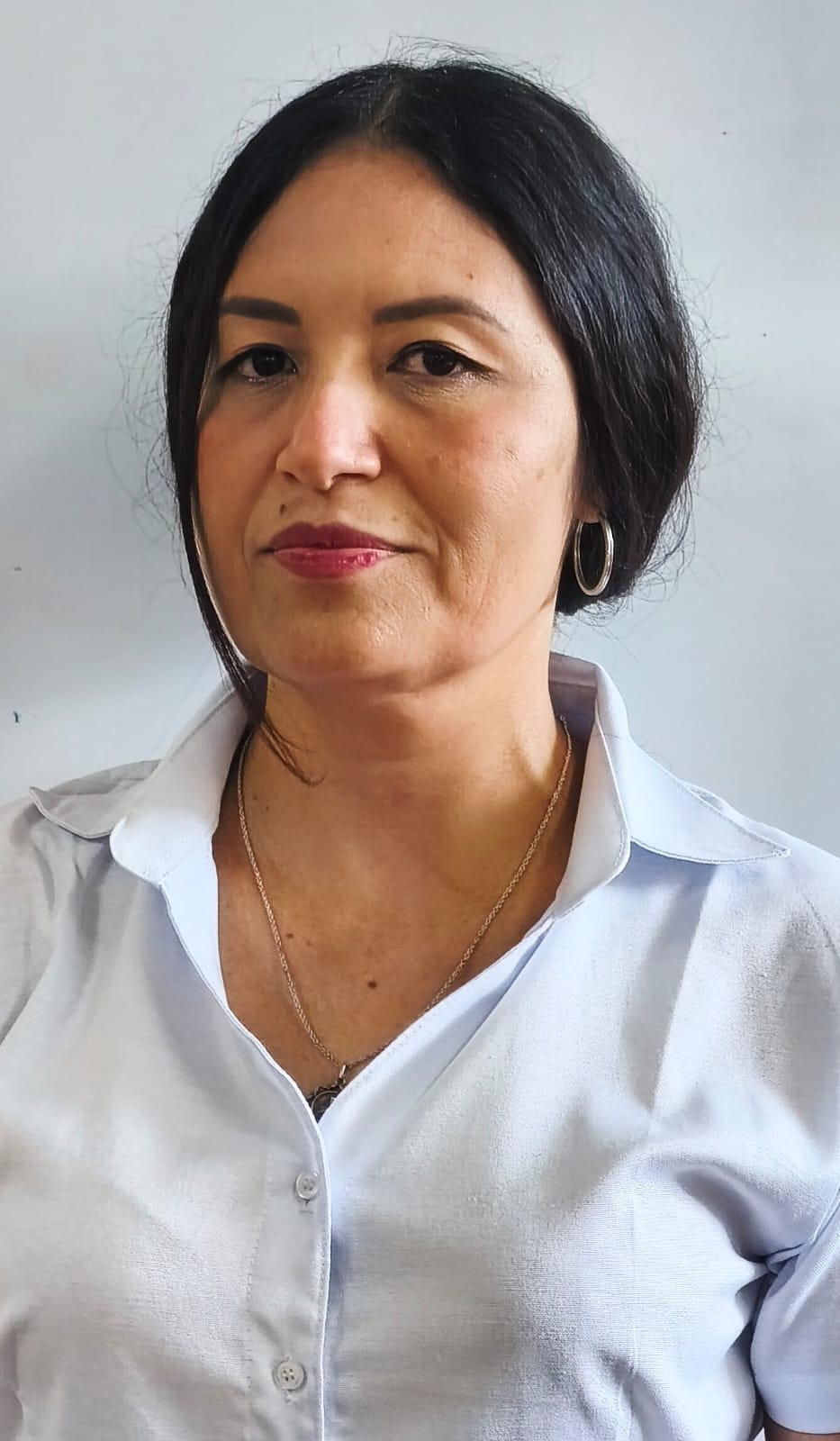 Image hover effect image