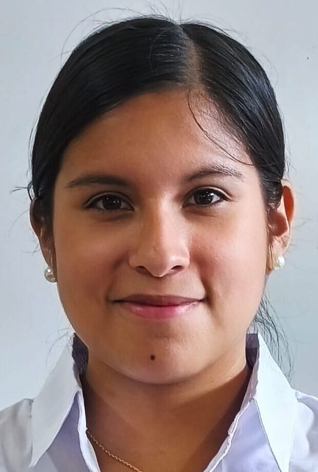 Image hover effect image