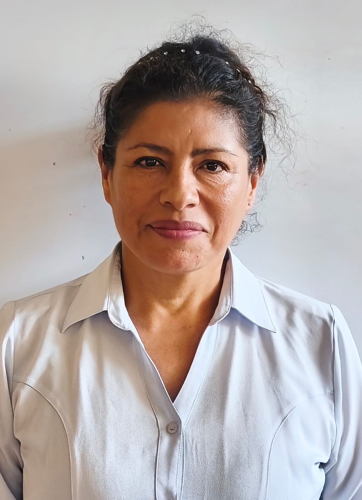 Image hover effect image