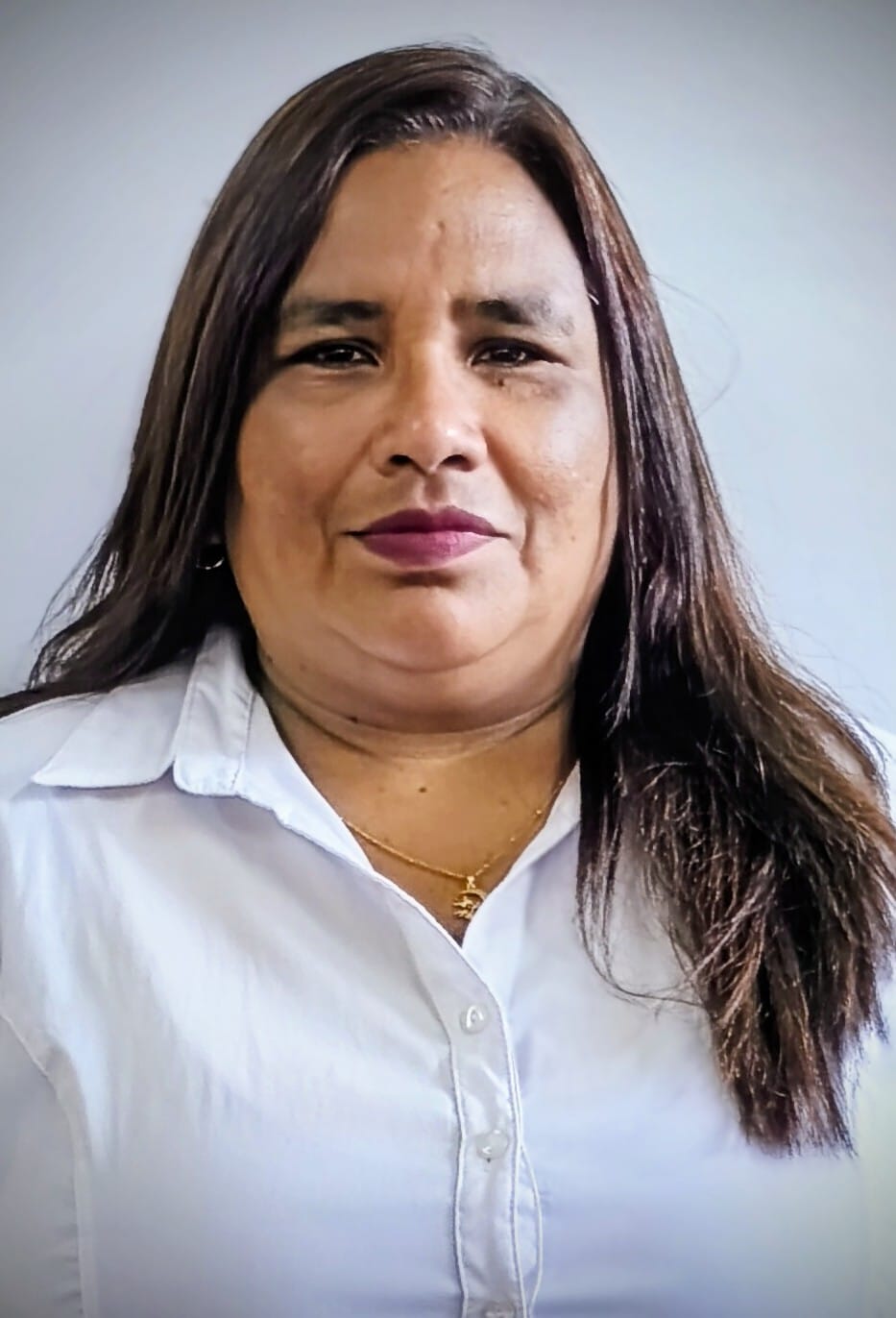 Image hover effect image